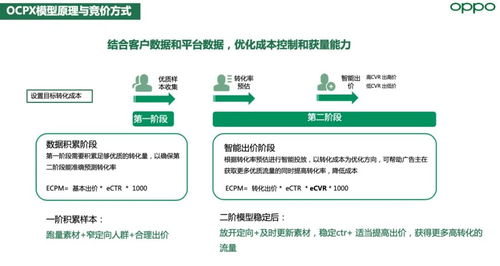 金融信息技术外包 高效获客新路径，专属标签与产品能力解析